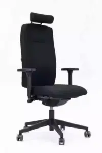 siège ergonomique ANDUZE